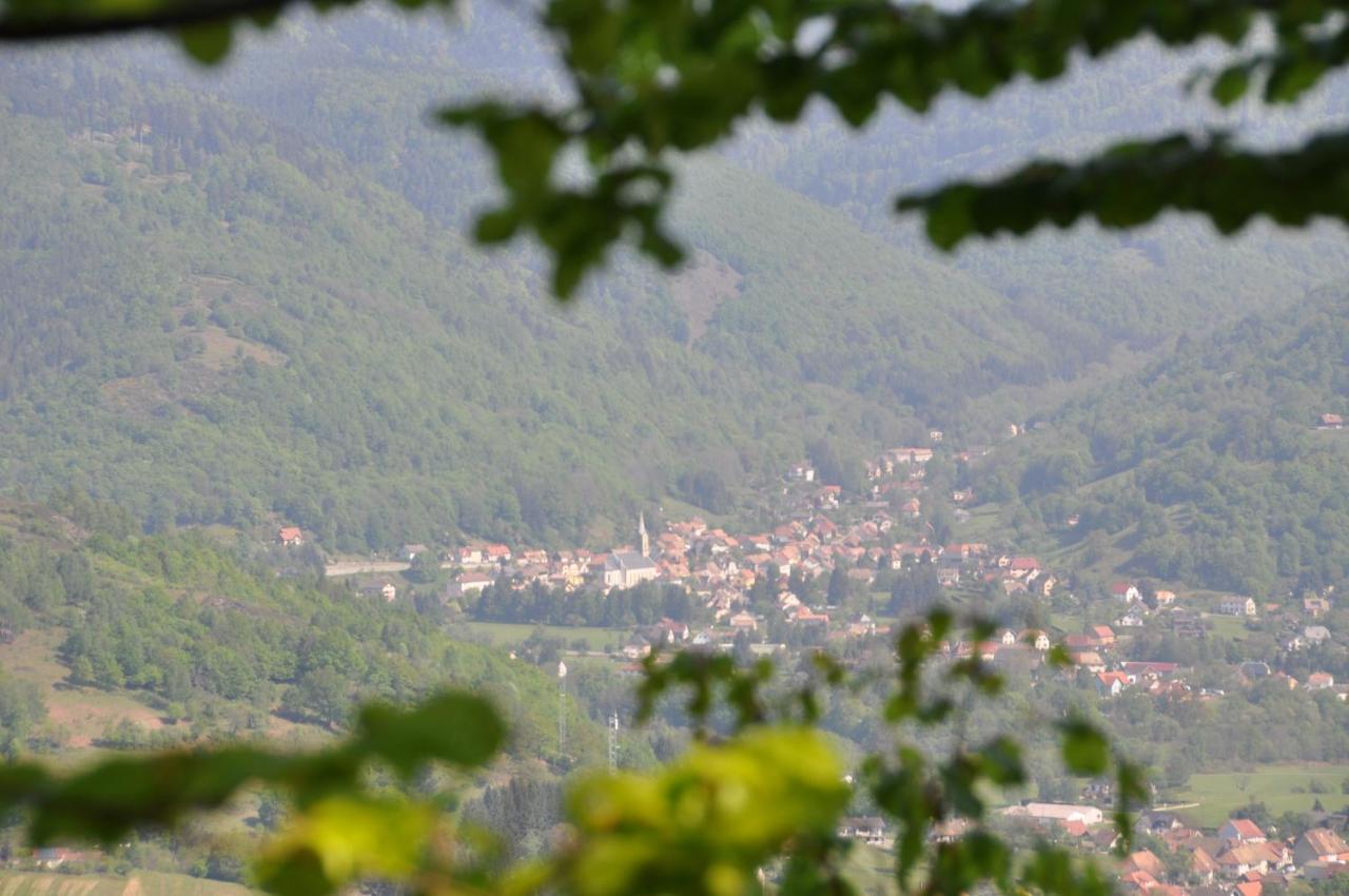 Appartement A Mitzach المظهر الخارجي الصورة