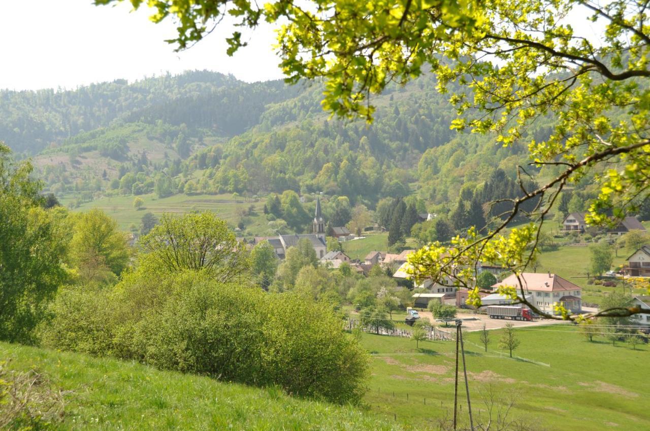 Appartement A Mitzach المظهر الخارجي الصورة